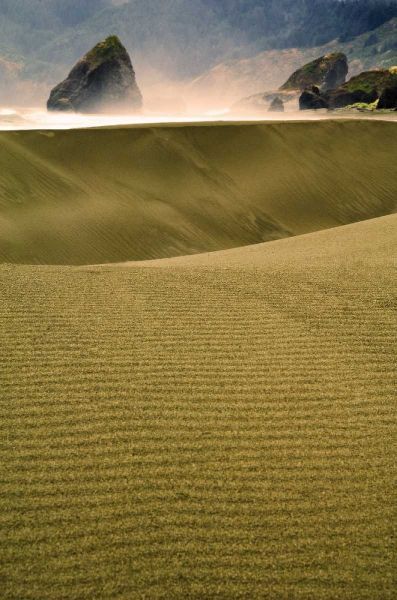 USA, Oregon Sand dunes in late light along coast